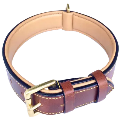 Soft Touch two-tone padded leather dog collar with brass buckle