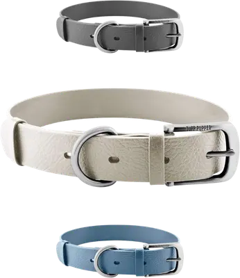 Tuff Pupper Classic Heavy Duty waterproof dog collar with a coated strap, brass pin buckle, and D-ring.