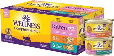 Wellness Complete Health kitten pâté variety pack with chicken and whitefish recipes