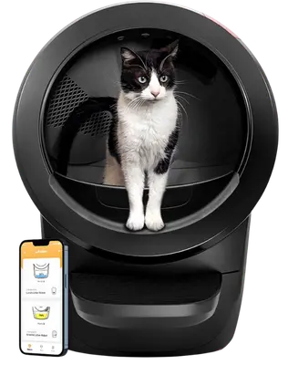 White Whisker Litter-Robot 4 automatic self-cleaning litter box