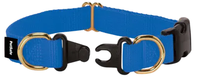 Blue PetSafe KeepSafe breakaway dog collar with pressure-release clasp and two metal D-rings