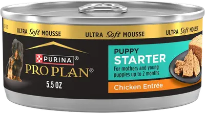 Purina Pro Plan Puppy Starter Chicken Mousse 5.5-oz can