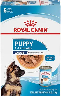 Royal Canin Large Puppy Thin Slices in Gravy 13-oz can